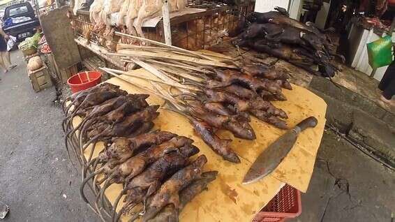 "מדובר במקום מקולל וקיצוני" // צילום: שי זדה